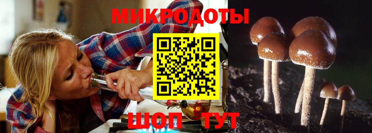 Новоуральск  Галлюциногенные грибы прущие грибы  Вход с VPN  Галлюциногенные грибы прущие грибы 